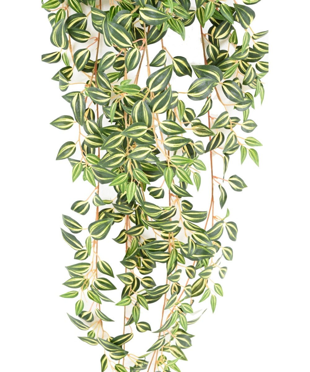 Kunsttradeskantsia 110