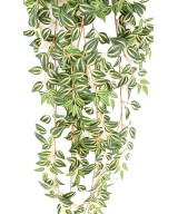 Kunsttradeskantsia 110