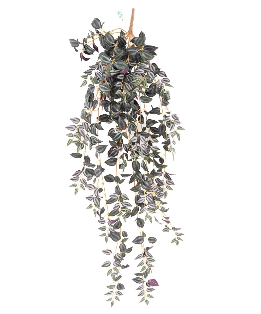 Kunsttradeskantsia 110