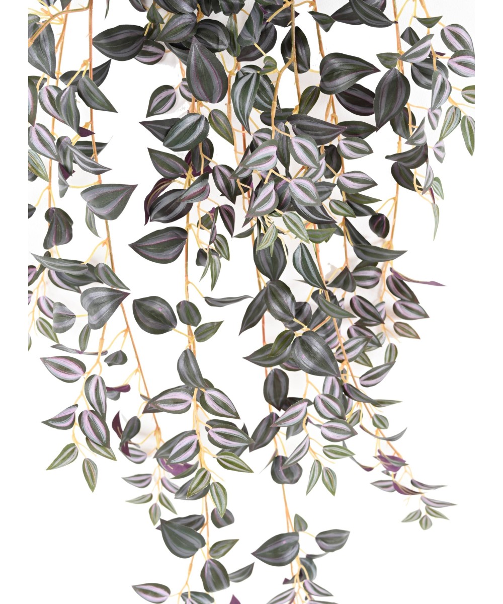 Kunsttradeskantsia 110