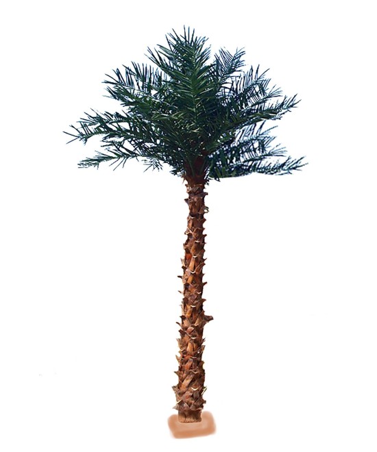 Kunstlik palm 4.80 M UV