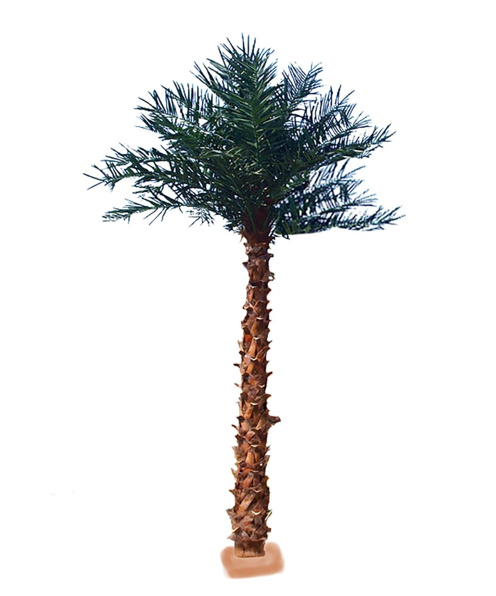 Kunstlik palm 4.80 M UV