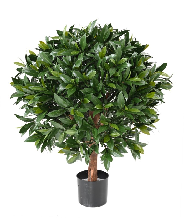 Artificial BAY LAUREL NEW BALL UV