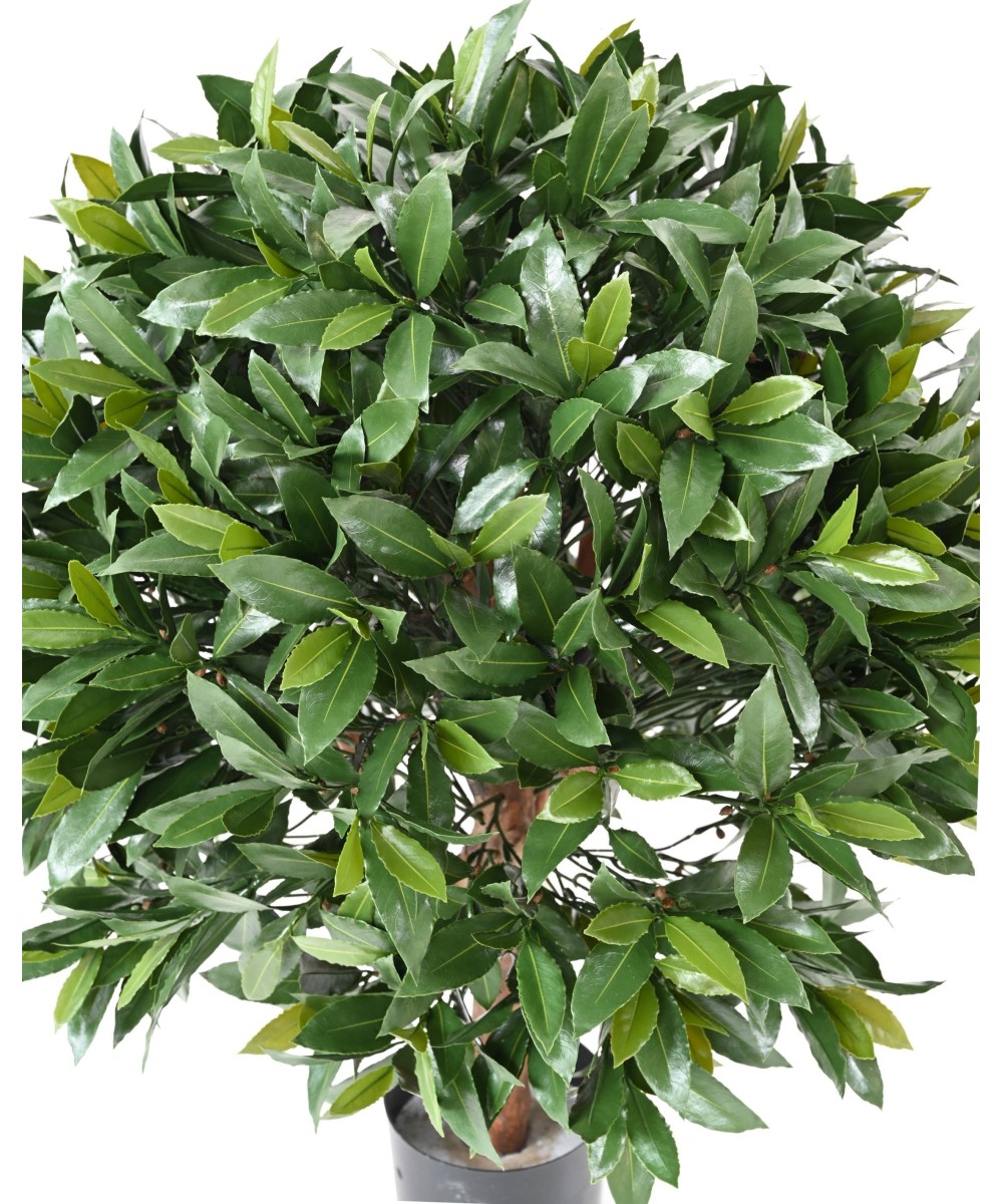 Artificial BAY LAUREL NEW BALL UV