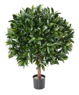 Artificial BAY LAUREL NEW BALL UV