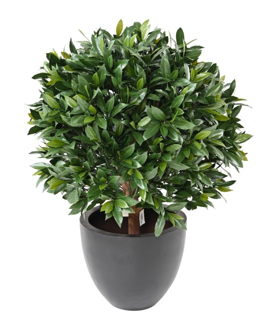 Artificial BAY LAUREL NEW BALL UV