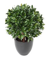 Artificial BAY LAUREL NEW BALL UV