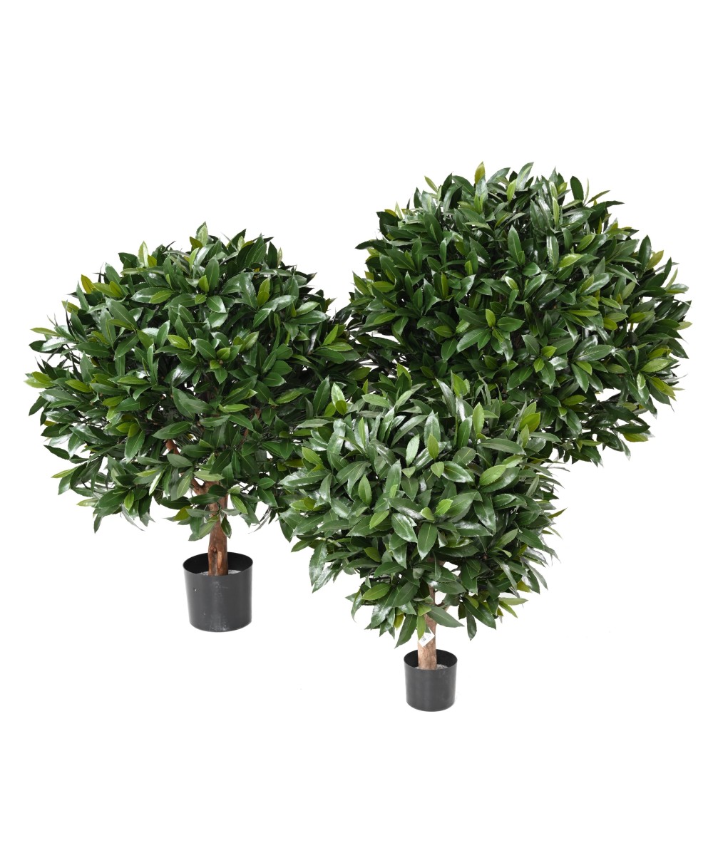 Artificial BAY LAUREL NEW BALL UV
