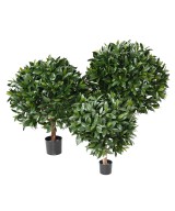 Artificial BAY LAUREL NEW BALL UV