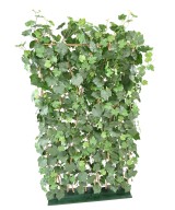 Artificial VINE HEDGE PLAST UV RESISTANT