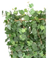 Artificial VINE HEDGE PLAST UV RESISTANT