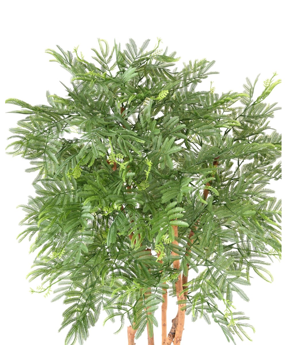 Kunstlik TAMARIND (mimoos)