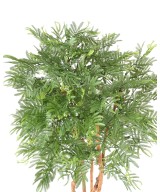Kunstlik TAMARIND (mimoos)