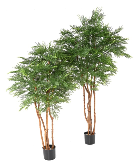 Kunstlik TAMARIND (mimoos)