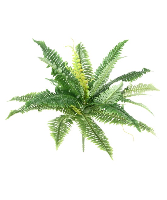 Artificial FERN *27 DIAM 55