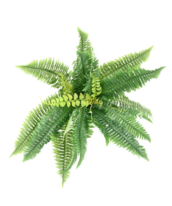 Artificial FERN *27 DIAM 55