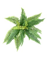 Artificial FERN *27 DIAM 55