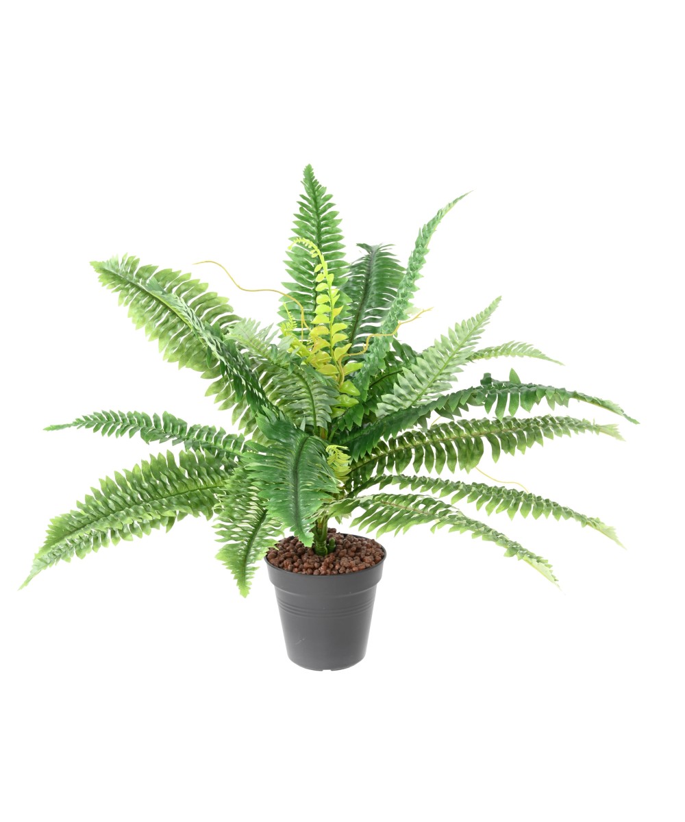 Artificial FERN *27 DIAM 55