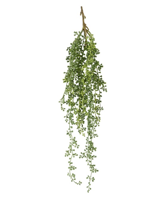 Kunstlik RUTA-MURARIA (asplenium) RIPPUVÕÕSAS