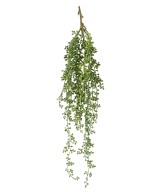 Artificial RUTA-MURARIA (asplenium) HANGING BUSH
