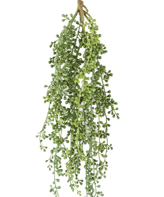 Artificial RUTA-MURARIA (asplenium) HANGING BUSH
