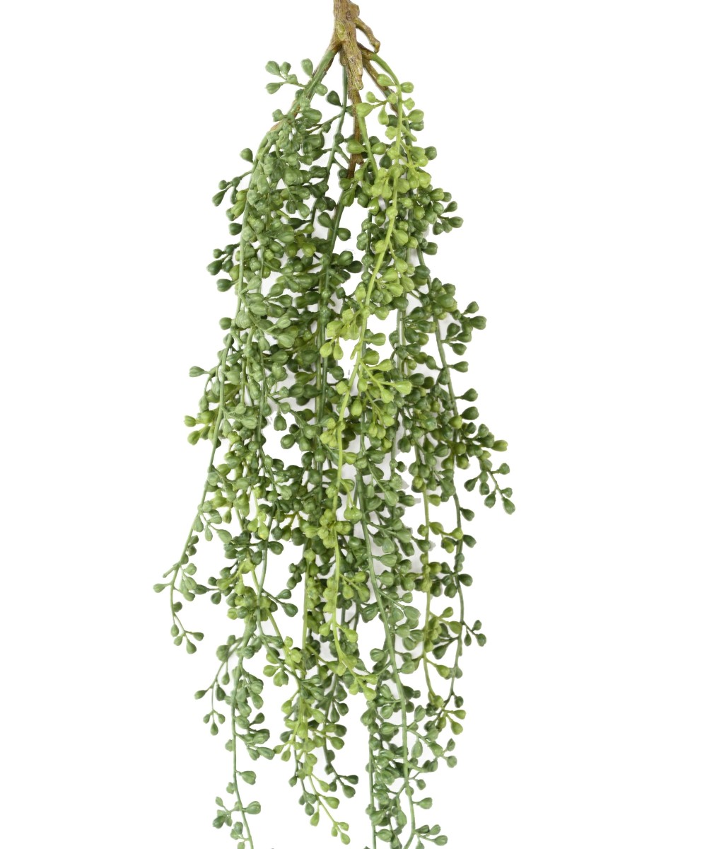 Artificial RUTA-MURARIA (asplenium) HANGING BUSH