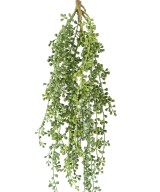 Kunstlik RUTA-MURARIA (asplenium) RIPPUVÕÕSAS