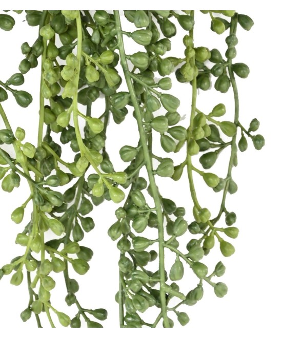 Kunstlik RUTA-MURARIA (asplenium) RIPPUVÕÕSAS
