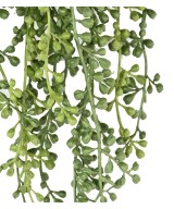 Kunstlik RUTA-MURARIA (asplenium) RIPPUVÕÕSAS