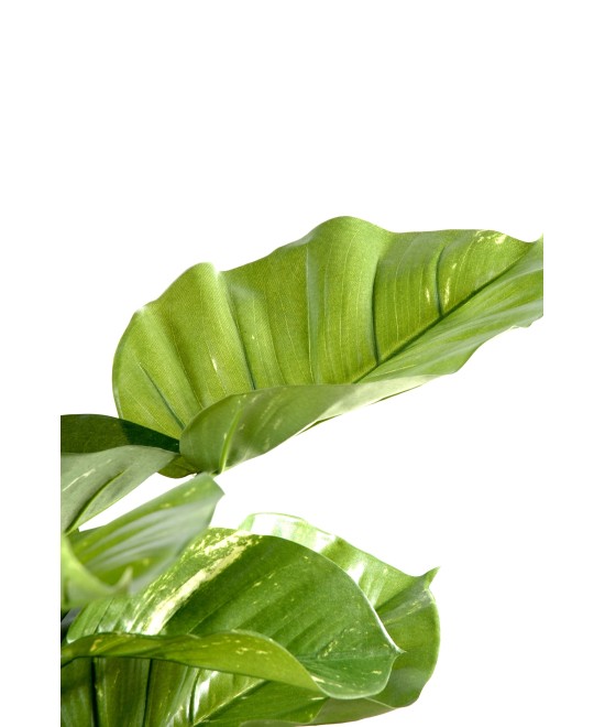 Suur kunstpothos