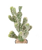 Artificial ECHINOCEREUS CACTUS