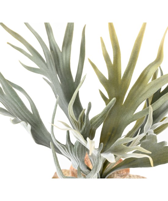 Kunstlik PLATYCERIUM 33