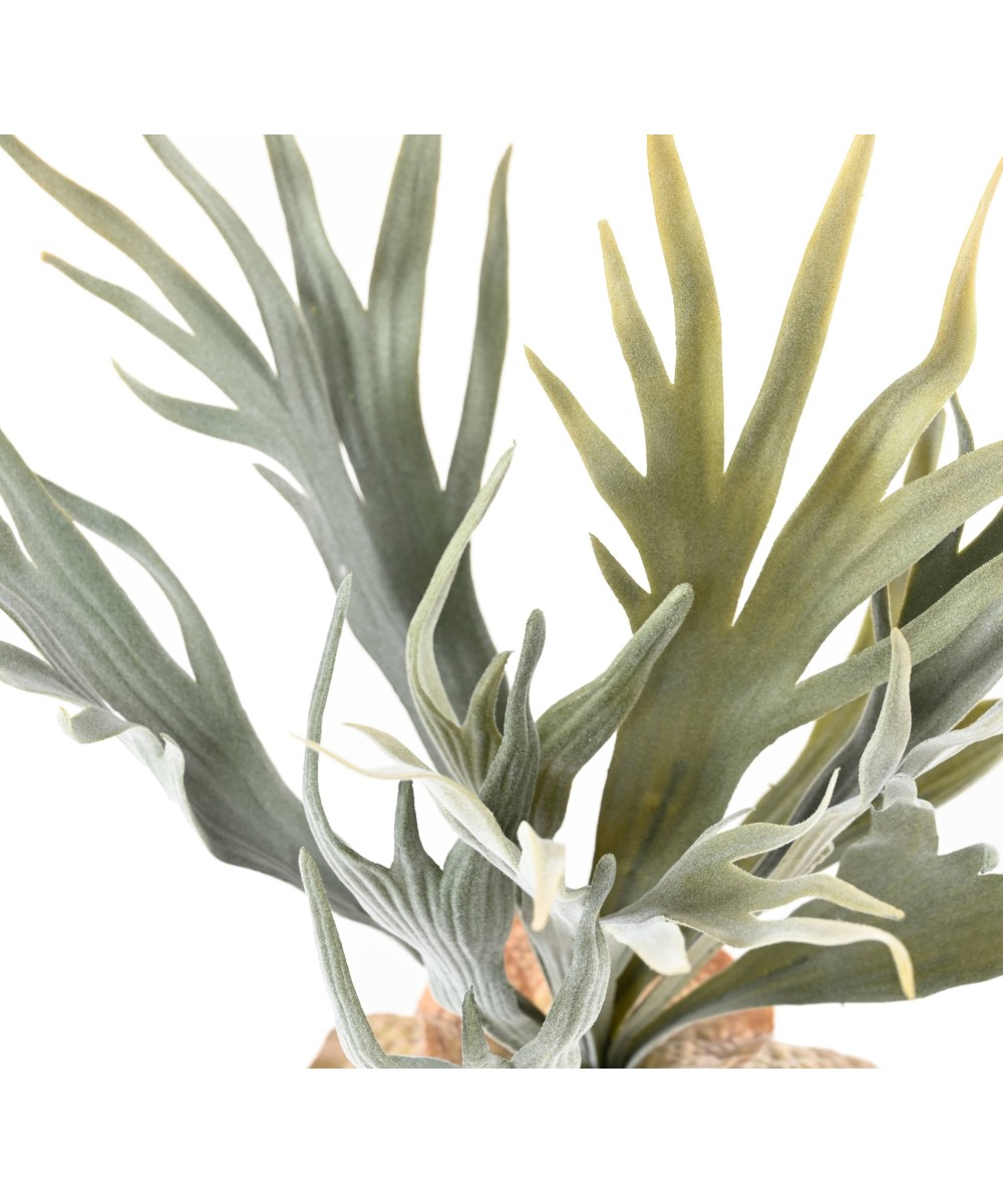 Kunstlik PLATYCERIUM 33