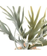 Kunstlik PLATYCERIUM 33
