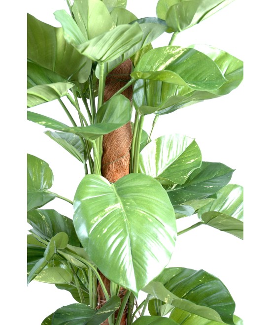 Suur kunstpothos