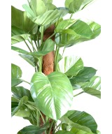 Suur kunstpothos