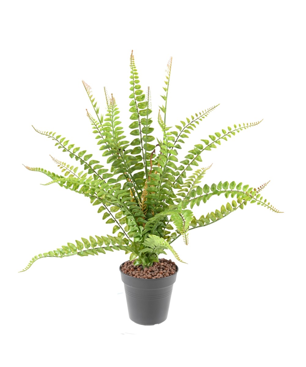 Kunstlik BOSTON FERN 50