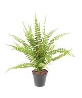 Kunstlik BOSTON FERN 50