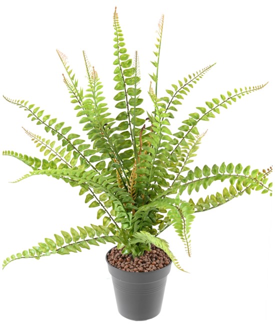 Kunstlik BOSTON FERN 50