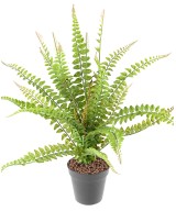 Kunstlik BOSTON FERN 50