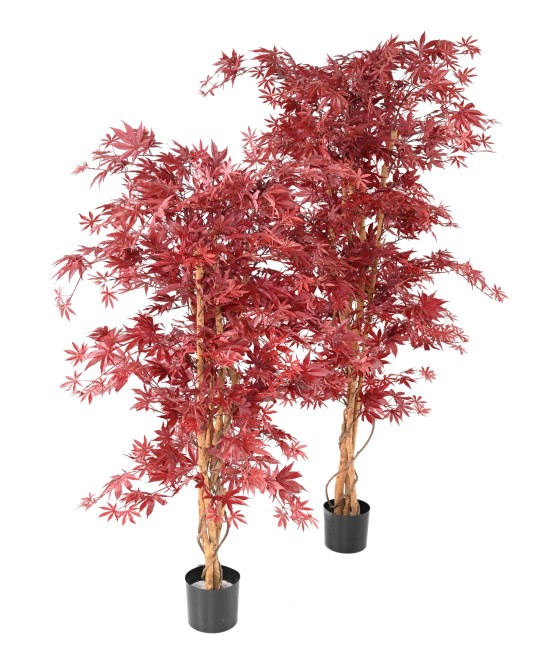 Artificial ARALIA NEW (maple)