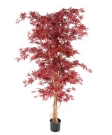 Artificial ARALIA NEW (maple)