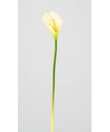 Kunstlik Arum (Calla)