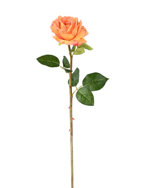 Artificial ROSE