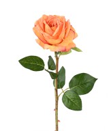Artificial ROSE