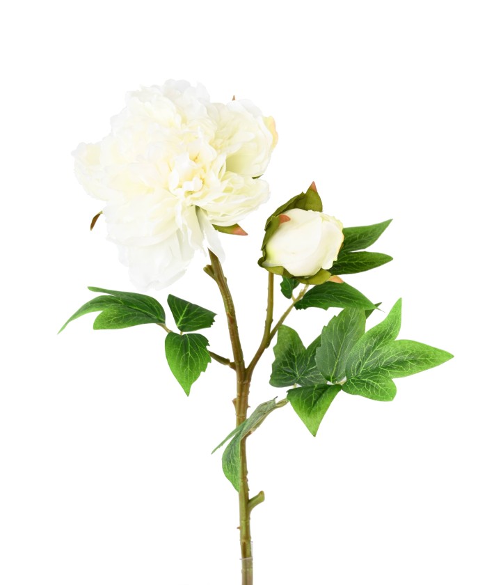 Artificial PEONY