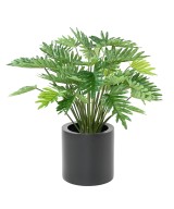 Kunstlik FILODENDRON SELLOUM 70