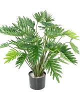 Kunstlik FILODENDRON SELLOUM 70
