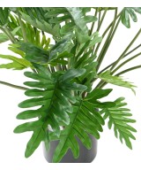 Kunstlik FILODENDRON SELLOUM 70