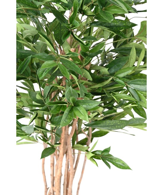 Artificial DRACAENA SURCULOSA 155
